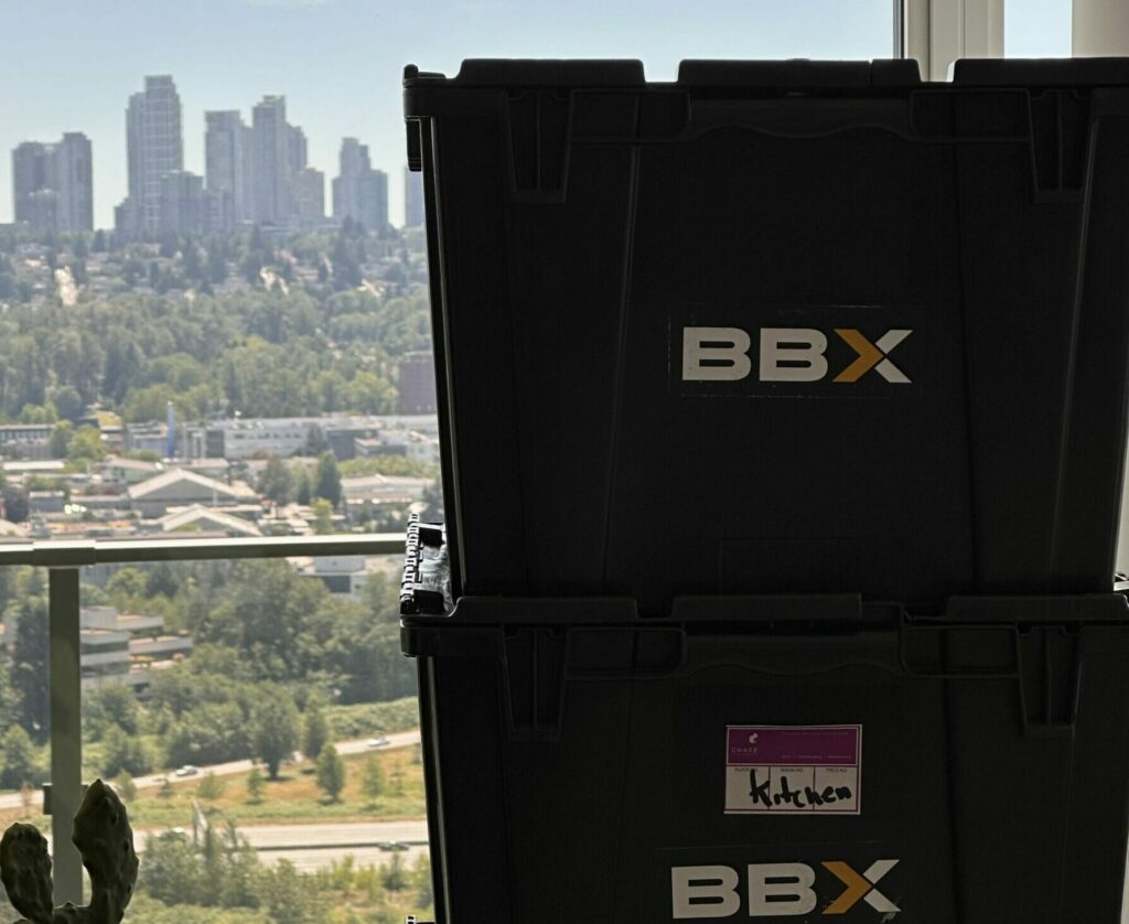 Two black BBX storage boxes, essential components of any comprehensive moving checklist, are stacked near a window overlooking a cityscape with tall buildings.