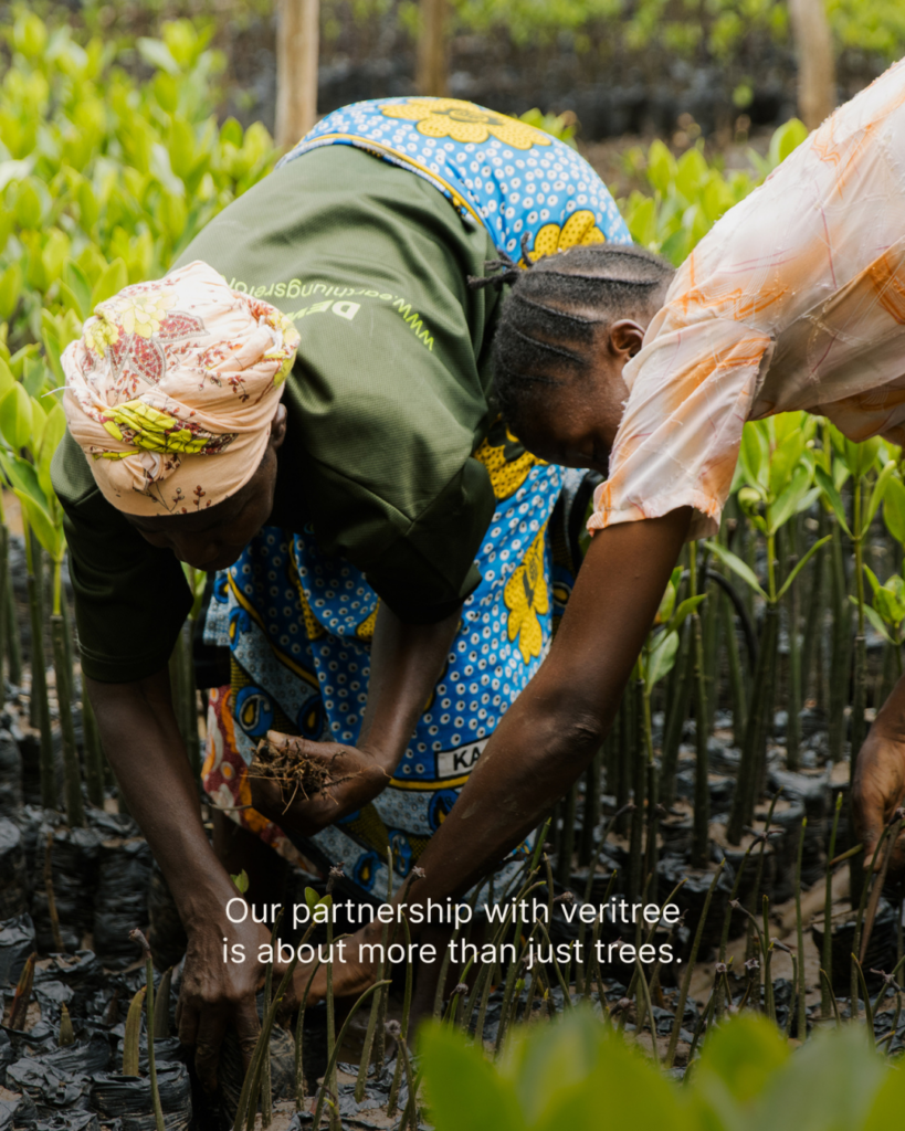 BBX Moving | Our Power, Our Planet: Taking Meaningful Climate Action - Two women in colorful clothing plant young trees in muddy soil, highlighting an environmental partnership. Text on image reads: "Our partnership with veritree is about meaningful climate action for our planet. Two women in colorful clothing plant young trees in muddy soil, highlighting an environmental partnership. Text on image reads: "Our partnership with veritree is about meaningful climate action for our planet.