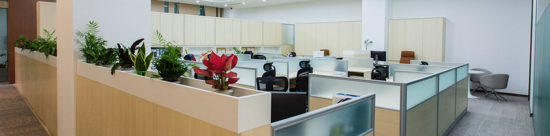 BBX Moving | Office Movers – Vancouver - Modern office space with several workstations, computers, ergonomic chairs, and potted plants along partition walls; light wood and white decor—ideal for Burnaby businesses seeking professional office movers. Modern office space with several workstations, computers, ergonomic chairs, and potted plants along partition walls; light wood and white decor—ideal for Burnaby businesses seeking professional office movers.
